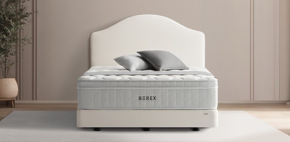 코웨이, 클래식 감성에 우아함 더한 '비렉스 루나 프레임' 출시