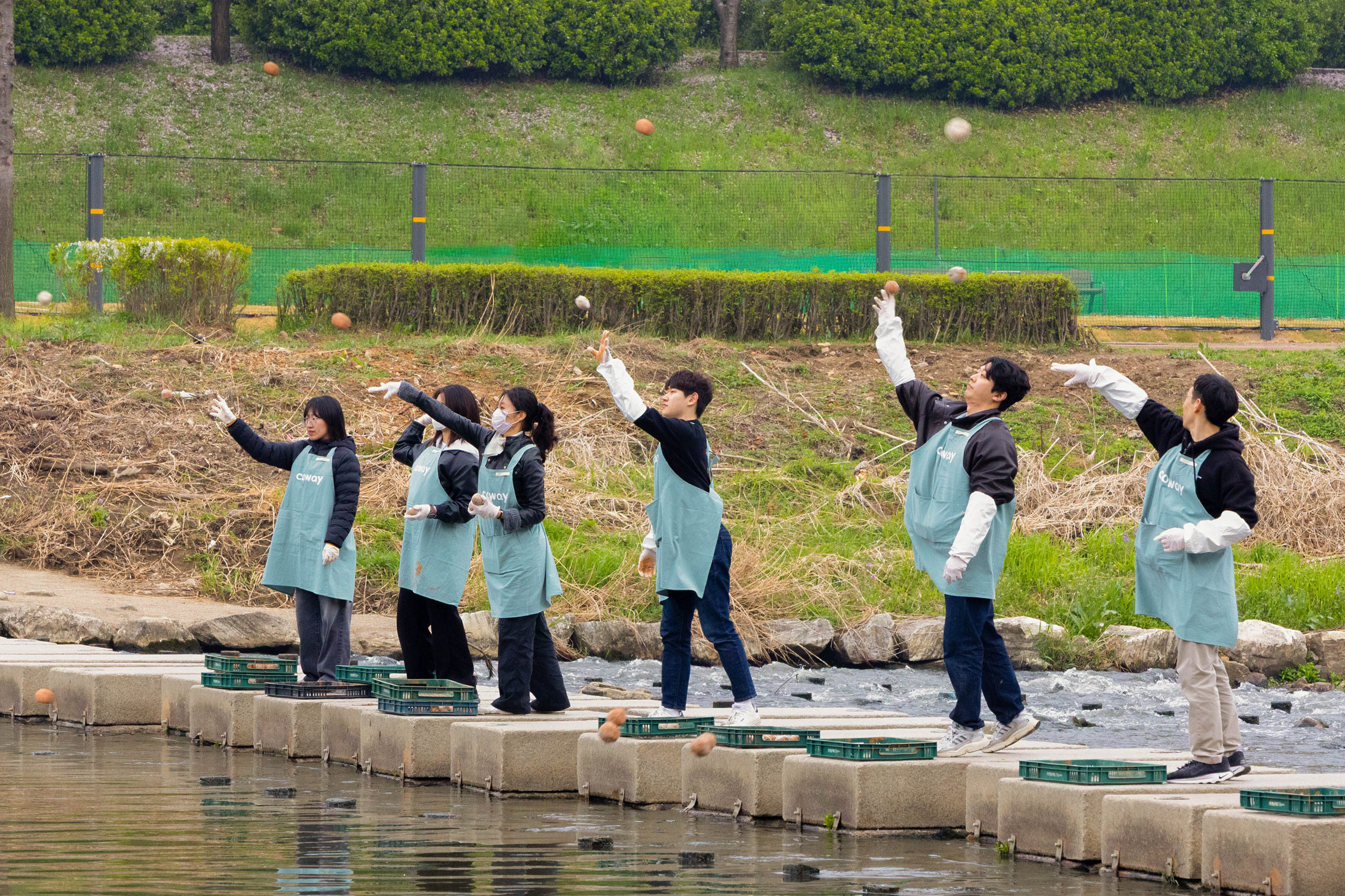 2026년 4월 10일 코웨이 임직원 봉사자들이 안양천에서 직접 제작한 EM흙공을 안양천에 투입하고 있다.